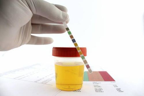 product-500-333 product-500-333