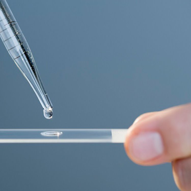 Portaobjetos de microscopio esmerilado simple